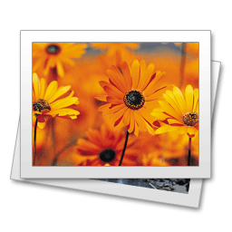 Beispiel für maximal 3 Artikel - zum Schließen ins Bild klicken